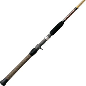 Spinning Fishing Rod – Medium Action (6’6”)